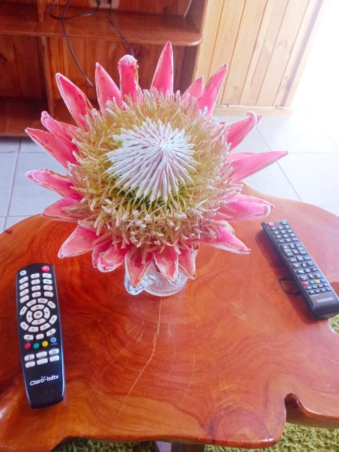 Holiday home Casa Elena *
